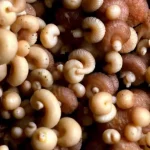 Исследование: Подъем по лестнице улучшает здоровье сердца