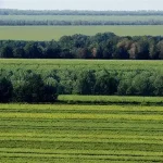 В Сасове активно идет возведение нового спортивного объекта, который обещает стать центром популяризации физической культуры и поддержит развитие местного спорта. Проект по строительству современного стадиона на сегодняшний день демонстрирует высокий темп и вызывает живой интерес у местных жителей и руководства муниципалитета.